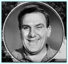 LIFE OF RILEY - TV SERIES - WILLIAM BENDIX - 28 DVDS
