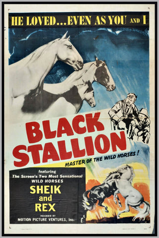 THE BLACK STALLION - 1938 - HOBART BOSWORTH - RARE DVD