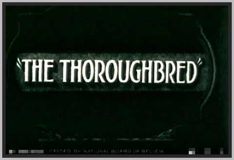 THE THOROUGHBRED - 1930 - WESLEY BARRY - RARE DVD