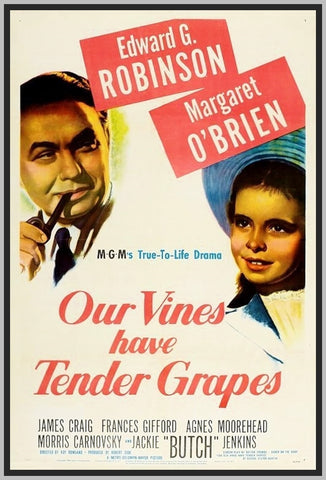 OUR VINES HAVE TENDER GRAPES - 1945 - COLORIZED - JAMES CRAIG - RARE DVD