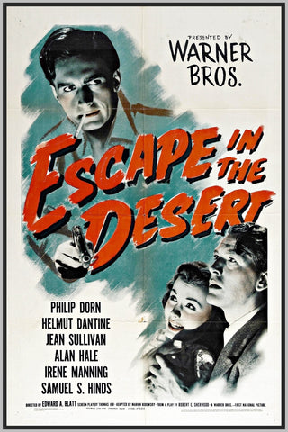 DESERT ESCAPE - 1940 - COLORIZED - JEAN SULLIVAN - RARE DVD