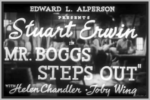 MR. BOGGS STEPS OUT - 1938 - STUART ERWIN - RARE DVD