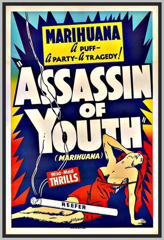 ASSASSINS OF YOUTH - COLORIZED - 1938 - LUANA WALTERS - RARE DVD