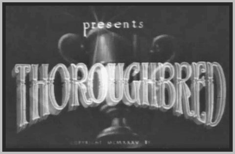 THOROUGH BRED - 1935 - TOBY WING - RARE DVD