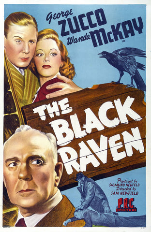 THE BLACK RAVEN 1943 - RARE COLORIZED - $15