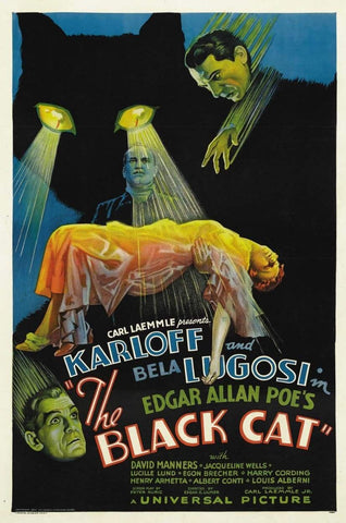 THE BLACK CAT 1934 - RARE COLORIZED - $15