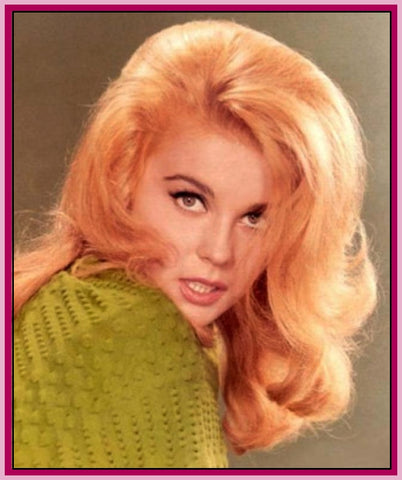 ANN MARGRET - RARE - TV SHOWS COLLECTION - 11 DVDS
