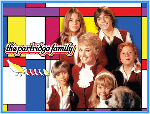 PARTRIDGE FAMILY - BIOGRAPHY COLLECTION - DVD