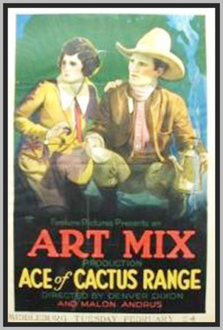ACE OF CACTUS RANGE - 1924 - ART MIX - SILENT - RARE DVD