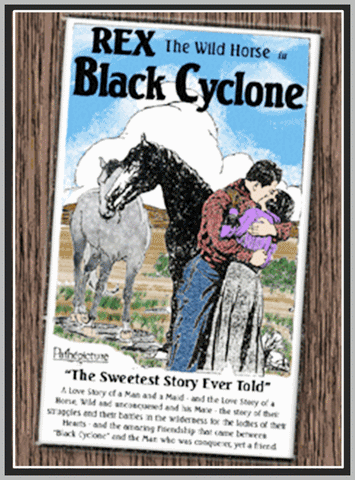 BLACK CYCLONE - 1925 - REX THE WONDER HORSE - SILENT - RARE DVD