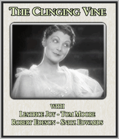 THE CLINGING VINE - 1926 - LEATRICE JOY - SILENT - RARE DVD