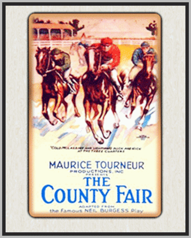 THE COUNTY FAIR - 1920 - HELEN JEROMY EDDY - SILENT - RARE DVD