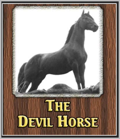 THE DEVIL HORSE - 1926 - REX - SILENT - RARE DVD