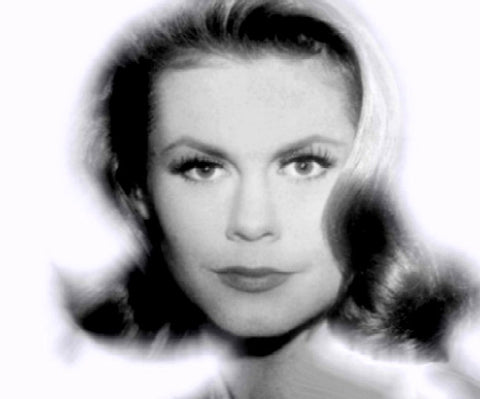 BIOGRAPHY OF ELIZABETH MONTGOMERY - 1 DVD