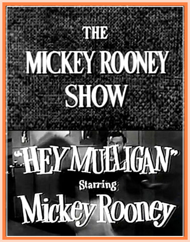 THE MICKEY ROONEY SHOW - EPISODE 16 - RARE - 1 DVD