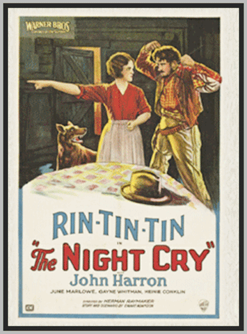THE NIGHT CRY - 1926 - JOHN HARRON - SILENT - RARE DVD