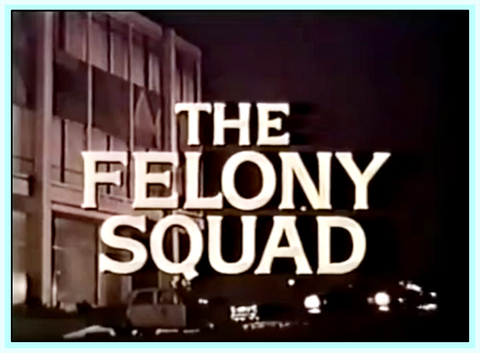 FELONY SQUAD - TV SERIES - STARRING HOWARD DUFF - DVDS