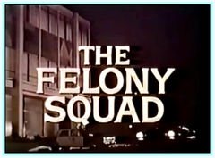 FELONY SQUAD - TV SERIES - STARRING HOWARD DUFF - DVDS