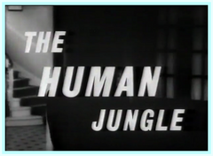 HUMAN JUNGLE - COMPLETE SERIES - HERBERT LOM - DVD