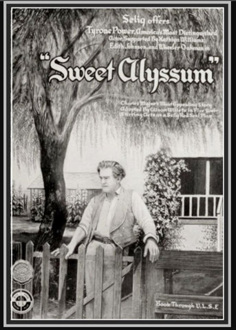SWEET ALYSSUM - 1915 - EDITH JOHNSON - SILENT - RARE DVD
