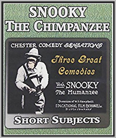 SNOOKY THE CHIMP - (1920-1921) - SILENT - RARE DVD