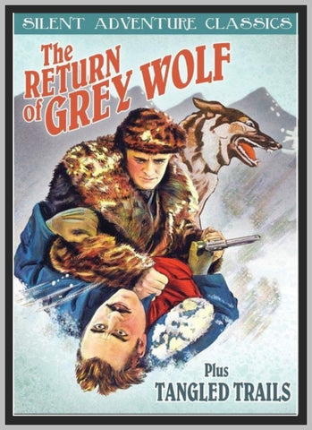 THE RETURN OF GREY WOLF - 1926 - JAMES PIERCE - SILENT - RARE DVD