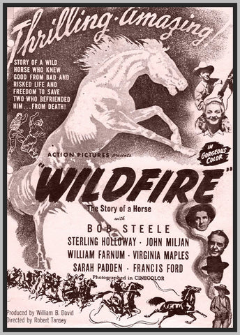 WILDFIRE - 1945 - BOB STEELE - RARE DVD