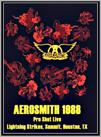 AEROSMITH LIVE IN HOUSTON - 1987 - DVD