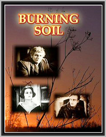 DER BRENNENDE ACKER - A.K.A. BURNING SOLT - 1922 - WENER KRAUSS - SILENT - RARE DVD