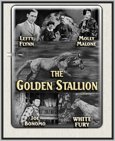 THE GOLDEN STALLION - 1927 - MOLLY MALONE - SILENT - RARE DVD