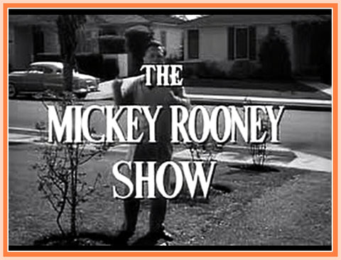 THE MICKEY ROONEY SHOW - EPISODE 4 - RARE - 1 DVD