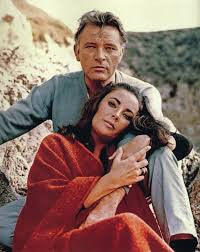 RICHARD BURTON & ELIZABETH TAYLOR TV COLLECTION - 5 DVDS