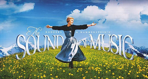 The Hills Are Alive - The sound of Music 12/24/95 - 1 DVD